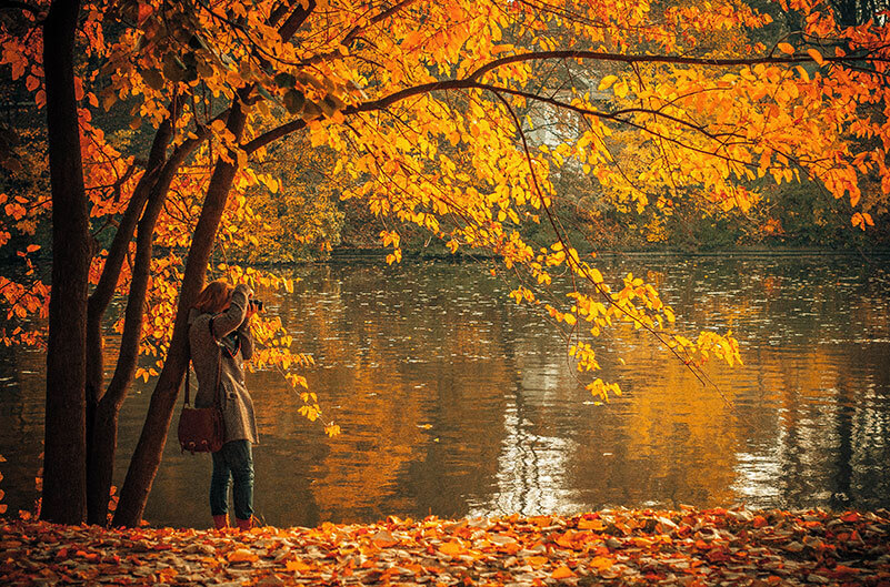 lake during fall